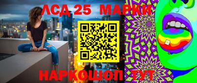 индика Ливны