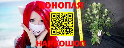 индика Ливны