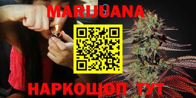 индика Ливны